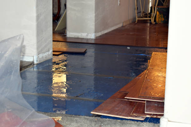Professional Basement Flood Cleanup technician working in Laketown, UT